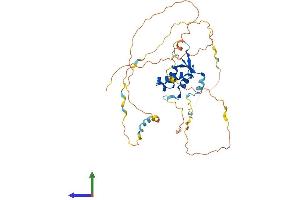 Protein Structure (PS) image for Forkhead Box L2 (FOXL2) (AA 1-375) protein (His tag) (ABIN7562608)