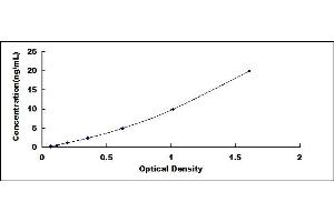 Typical standard curve (CYP3A4 ELISA 试剂盒)