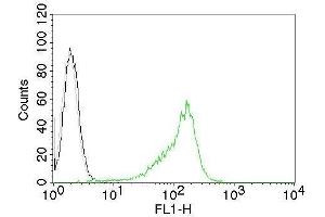 Flow Cytometric Analysis of human Nucleolin on 293T cells. (Nucleolin 抗体  (CF®488A))