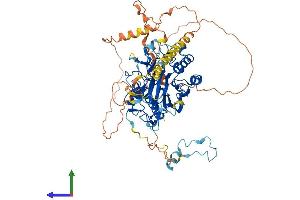 Protein Structure (PS) image for Angel Homolog 1 (ANGEL1) (AA 1-670) protein (His tag) (ABIN7552215)