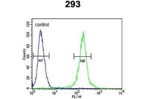 AMH Antibody (Center) flow cytometric analysis of 293 cells (right histogram) compared to a negative control cell (left histogram).