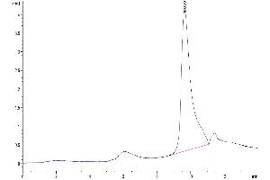 Size-exclusion chromatography-High Pressure Liquid Chromatography (SEC-HPLC) image for Chemokine (C-X-C Motif) Ligand 13 (CXCL13) (AA 22-109) protein (His tag) (ABIN7274449)