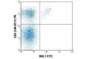 Flow Cytometry (FACS) image for anti-V alpha 2 TCR antibody (FITC) (ABIN2662012) (V alpha 2 TCR 抗体 (FITC))