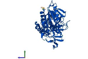 Protein Structure (PS) image for Acyl-CoA Thioesterase 4 (ACOT4) (AA 1-421) protein (His tag) (ABIN7551857)