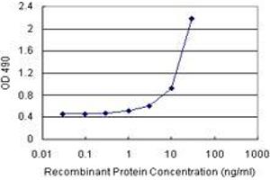 Sandwich ELISA detection sensitivity ranging from 1 ng/mL to 100 ng/mL. (FGF21 (人) Matched Antibody Pair)