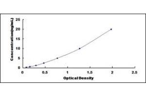 Typical standard curve (Aryl Hydrocarbon Receptor ELISA 试剂盒)