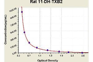 Diagramm of the ELISA kit to detect Rat 11-DH-TXB2with the optical density on the x-axis and the concentration on the y-axis. (11-DH-TXB2 ELISA 试剂盒)
