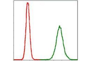 Flow cytometric analysis of MCF-7 cells using PPP2R4 mouse mAb (green) and negative control (red). (PPP2R4 抗体)