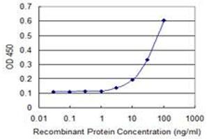 Detection limit for recombinant GST tagged TXNDC4 is 1 ng/ml as a capture antibody. (ERP44 抗体  (AA 30-406))