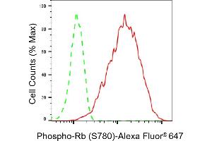 Flow cytometric analysis of Phospho-Rb (S780) expression in HAP-1 cells using Phospho-Rb (S780) antibody (ABIN7800187), 1:2,000). (Recombinant Retinoblastoma Protein (Rb) 抗体  (pSer780))