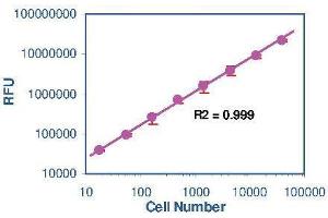 Cellular Assay (CA) image for Cell Viability Assay Kits (ABIN1000238)