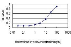 Detection limit for recombinant GST tagged C16orf9 is approximately 1ng/ml as a capture antibody. (ITFG3 抗体  (AA 1-552))