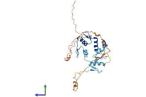 Protein Structure (PS) image for Snail Family Zinc Finger 2 (SNAI2) (AA 1-268) protein (His tag) (ABIN7555587)