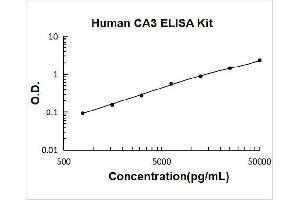 Typical Standard Curve