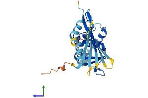 Protein Structure (PS) image for Potassium Channel Tetramerisation Domain Containing 6 (KCTD6) (AA 1-237) protein (His tag) (ABIN7558784)