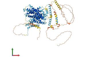 Protein Structure (PS) image for Solute Carrier Family 9 (Sodium/hydrogen Exchanger), Member 4 (SLC9A4) (AA 1-798) protein (His tag) (ABIN7555537)
