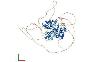 Protein Structure (PS) image for MAP/microtubule Affinity-Regulating Kinase 4 (MARK4) (AA 1-752) protein (His tag) (ABIN7564597)