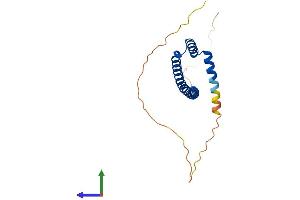 AlphaFold protein structure predicition of Mouse Recombinant Tle5 Protein, UniprotID P63002