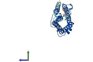 AlphaFold protein structure predicition of Human Recombinant CYB561A3 Protein, UniprotID Q8NBI2