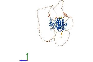 Protein Structure (PS) image for Cytoplasmic Polyadenylation Element Binding Protein 2 (CPEB2) (AA 1-521) protein (His tag) (ABIN7558489)