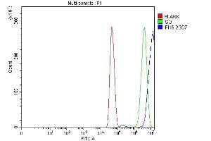 Flow Cytometry analysis of U251 cells using anti-IFI16 antibody (ABIN7600373).