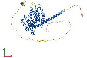 AlphaFold protein structure predicition of Mouse Recombinant Hs6st3 Protein, UniprotID Q9QYK4