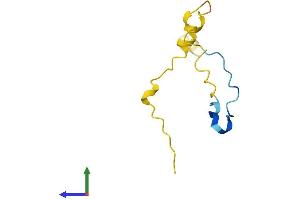 Protein Structure (PS) image for CDC42 Small Effector 1 (CDC42SE1) (AA 1-80) protein (Fc Tag) (ABIN7558651)