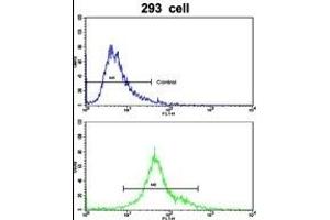 Flow cytometric analysis of 293 cells using EMILIN1 Antibody (N-term)(bottom histogram) compared to a negative control cell (top histogram). (Emilin1 抗体  (N-Term))