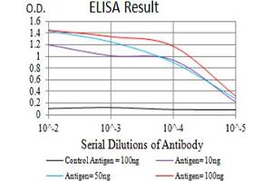 Black line: Control Antigen (100 ng),Purple line: Antigen (10 ng), Blue line: Antigen (50 ng), Red line:Antigen (100 ng) (BATF 抗体  (AA 1-126))