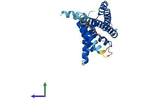 Protein Structure (PS) image for Peroxisomal Biogenesis Factor 11 beta (PEX11B) (AA 1-259) protein (His tag) (ABIN7556402)