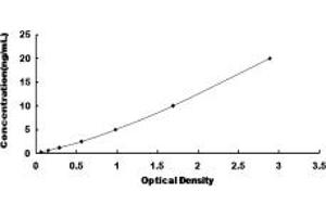 Typical standard curve (MAP4 ELISA 试剂盒)