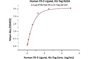 Immobilized Human Flt-3, Fc Tag (ABIN6731308,ABIN6809860) at 5 μg/mL (100 μL/well) can bind Human Flt-3 Ligand, His Tag (ABIN2181110,ABIN2181109,ABIN3071752) with a linear range of 0. (FLT3LG Protein (AA 27-185) (His tag))