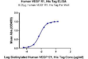 ELISA image for Fms-Related tyrosine Kinase 1 (VEGFR1) (FLT1) (AA 27-756) protein (His-Avi Tag) (ABIN7275835)