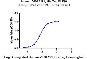 Immobilized Human VEGF R1 at 0. (FLT1 Protein (AA 27-756) (His-Avi Tag))