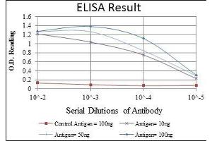 Red: Control Antigen (100 ng), Purple: Antigen (10 ng), Green: Antigen (50 ng), Blue: Antigen (100 ng), (MAPK6 抗体)