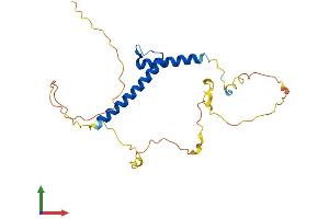 Protein Structure (PS) image for Basic Helix-Loop-Helix Family, Member A9 (BHLHA9) (AA 1-231) protein (His tag) (ABIN7557511)