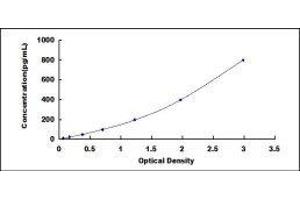 CD200 (CD200) ELISA Kit