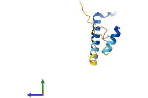 Protein Structure (PS) image for Cell Division Cycle 26 Homolog (CDC26) (AA 1-85) protein (Fc Tag) (ABIN7553266)