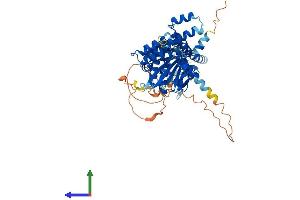 Protein Structure (PS) image for Folliculin (FLCN) (AA 1-579) protein (His tag) (ABIN7559596)