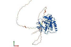 Protein Structure (PS) image for Casein Kinase 1, gamma 1 (CSNK1G1) (AA 1-422) protein (His tag) (ABIN7548625)