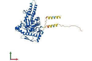 AlphaFold protein structure predicition of Human Recombinant HYAL4 Protein, UniprotID Q2M3T9