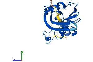 Protein Structure (PS) image for Nudix (Nucleoside Diphosphate Linked Moiety X)-Type Motif 15 (NUDT15) (AA 1-164) protein (His tag) (ABIN7549965)