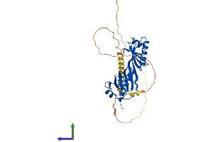 Protein Structure (PS) image for TATA Box Binding Protein (TBP) (AA 1-316) protein (His tag) (ABIN7563070)