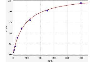 Typical standard curve (GMFB ELISA 试剂盒)