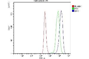 Flow Cytometry analysis of THP-1 cells using anti-C-Myc/MYC antibody (ABIN7602629). (c-MYC 抗体  (AA 9-439))