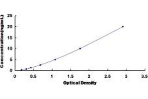 Typical standard curve (NPY5R ELISA 试剂盒)