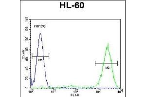PT Antibody (N-term) (ABIN655715 and ABIN2845165) flow cytometric analysis of HL-60 cells (right histogram) compared to a negative control cell (left histogram). (PTMA 抗体  (N-Term))