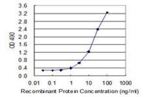 Sandwich ELISA detection sensitivity ranging from 1 ng/mL to 100 ng/mL. (PEPD (人) Matched Antibody Pair)