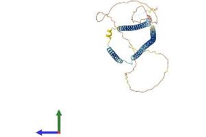 Protein Structure (PS) image for Wilms Tumor 1 Associated Protein (WTAP) (AA 1-396) protein (His tag) (ABIN7561421)