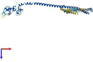 TRIM59 Protein (AA 1-403) (His tag)